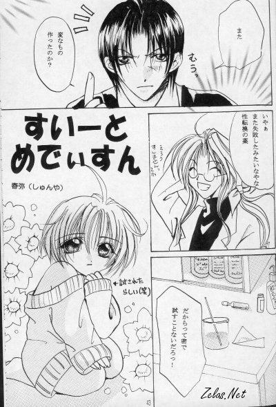 Royal Cute 2 (Yami no Matsuei) page 41 full