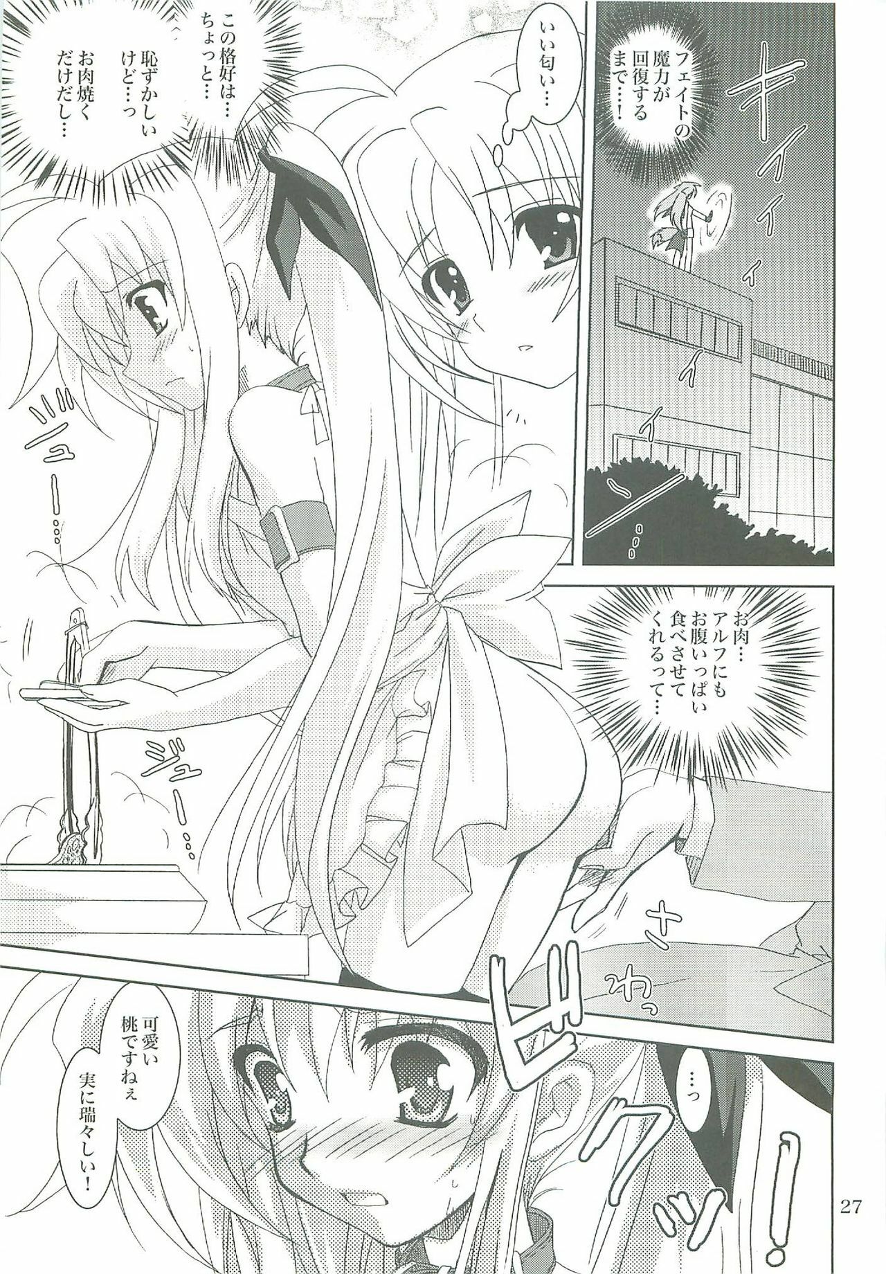 (COMIC1☆2) [PLUM (Kanna)] Mahou Shoujo Magical SEED LOGIC (Mahou Shoujo Lyrical Nanoha) page 27 full
