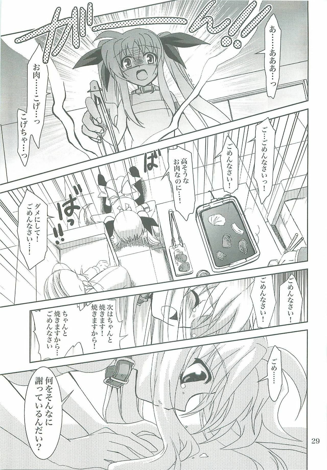(COMIC1☆2) [PLUM (Kanna)] Mahou Shoujo Magical SEED LOGIC (Mahou Shoujo Lyrical Nanoha) page 29 full