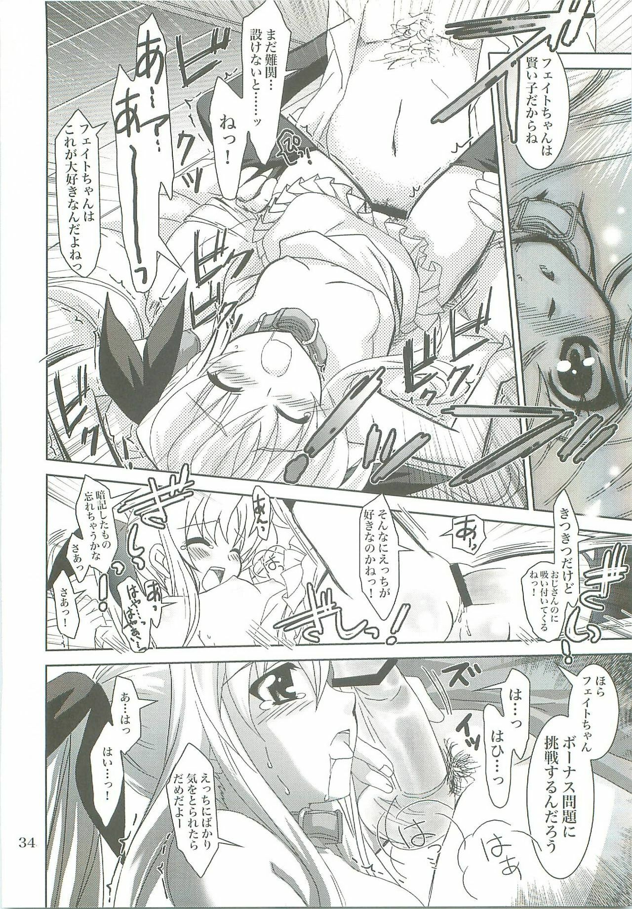 (COMIC1☆2) [PLUM (Kanna)] Mahou Shoujo Magical SEED LOGIC (Mahou Shoujo Lyrical Nanoha) page 34 full