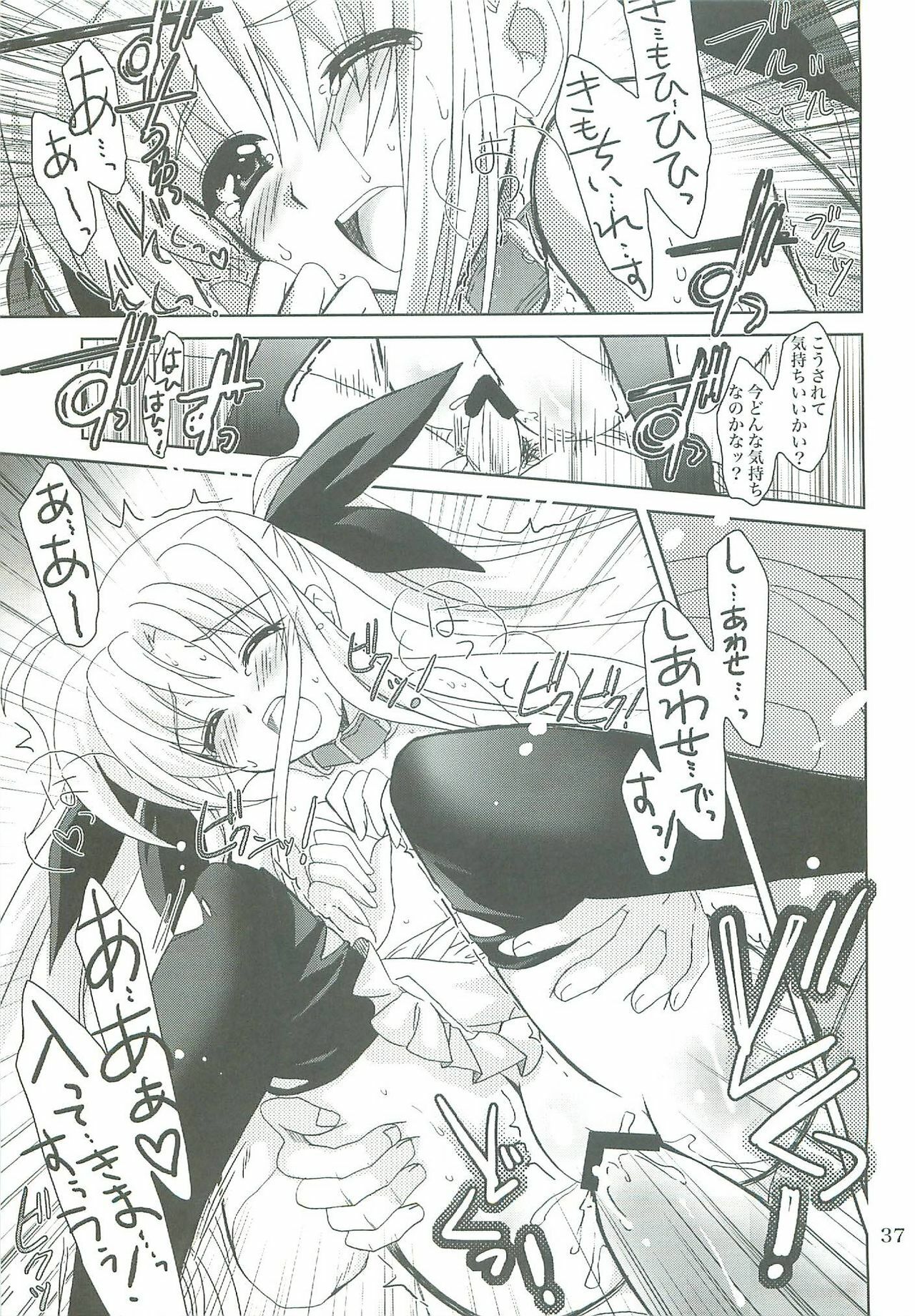 (COMIC1☆2) [PLUM (Kanna)] Mahou Shoujo Magical SEED LOGIC (Mahou Shoujo Lyrical Nanoha) page 37 full