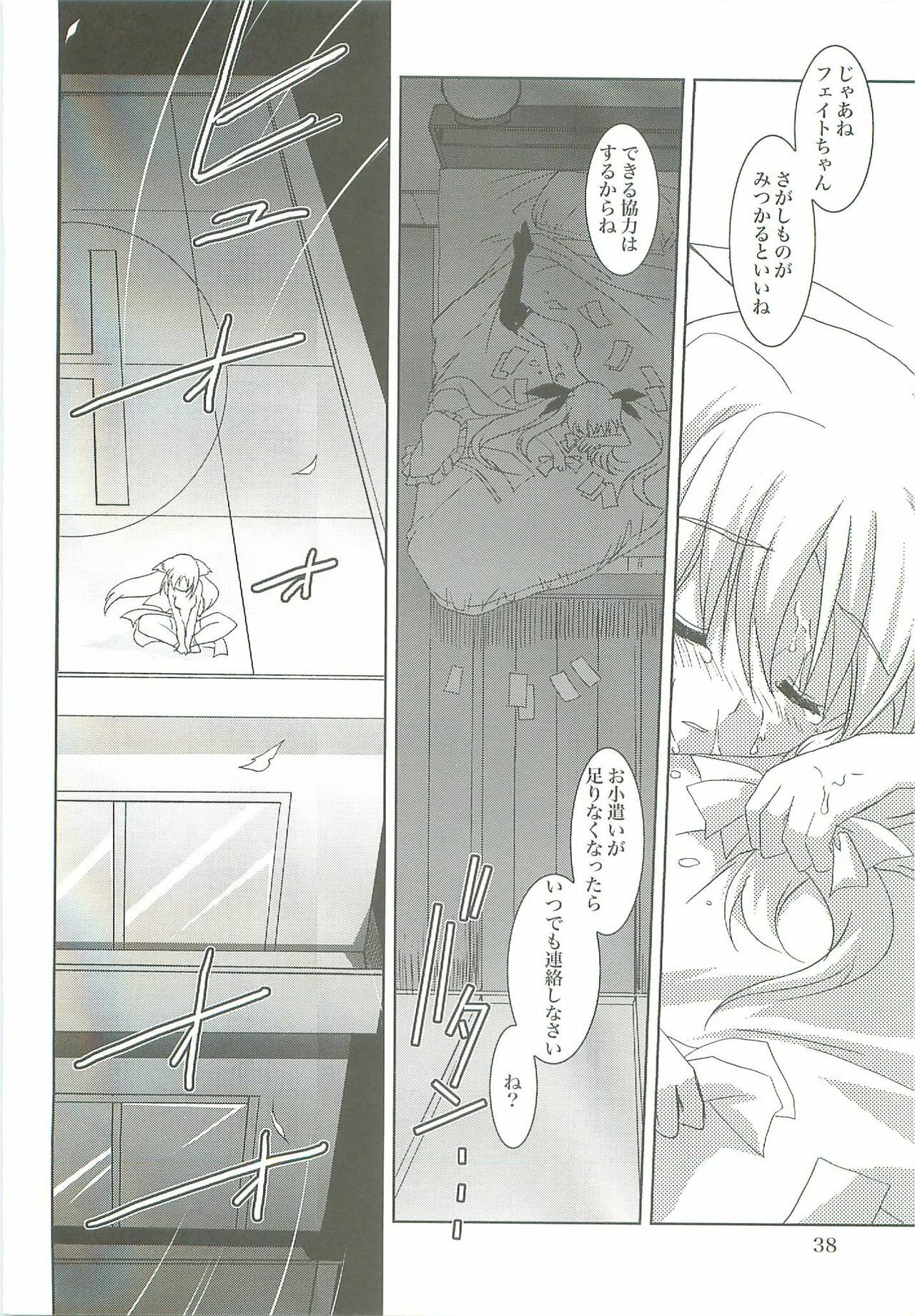 (COMIC1☆2) [PLUM (Kanna)] Mahou Shoujo Magical SEED LOGIC (Mahou Shoujo Lyrical Nanoha) page 38 full