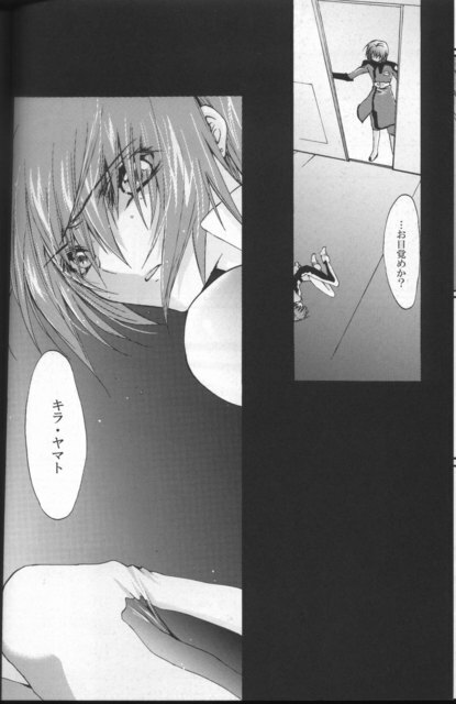 [Sousutai (Yamaduki Kitsuwo)] TURN (Kidou Senshi Gundam SEED) page 20 full