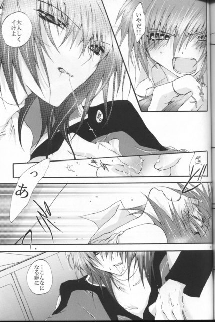 [Sousutai (Yamaduki Kitsuwo)] TURN (Kidou Senshi Gundam SEED) page 49 full