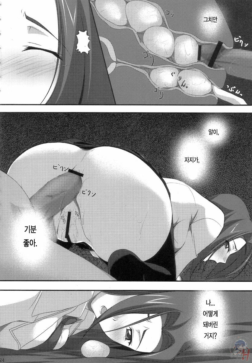 (C72) [Noatei (Ichikawa Noa)] INRAN (Code Geass: Lelouch of the Rebellion) [Korean] [Lacrima 번역] page 23 full