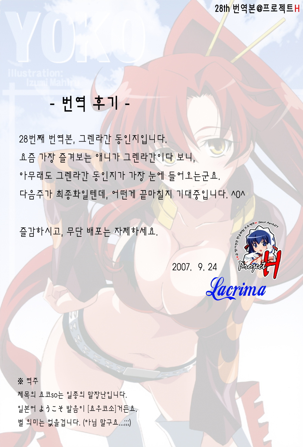 (C72) [Mahirutei (Izumi Mahiru)] Kibun wa Yoko-so (Tengen Toppa Gurren Lagann) [Korean] page 24 full