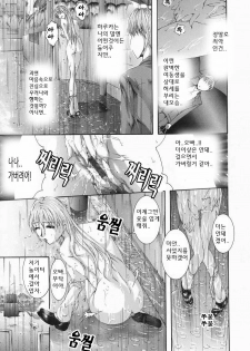 [Maami] RRSS Rosyutsu-Ryoujoku-Seifuku-Shoujo [Korean] - page 35