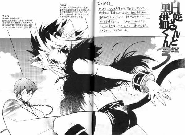(C68) [Rapan (Himuro Shizuku)] Shirohebisan to Kuronekokun 3 | White Snake & Black Cat 3 (Yu-Gi-Oh!) page 3 full