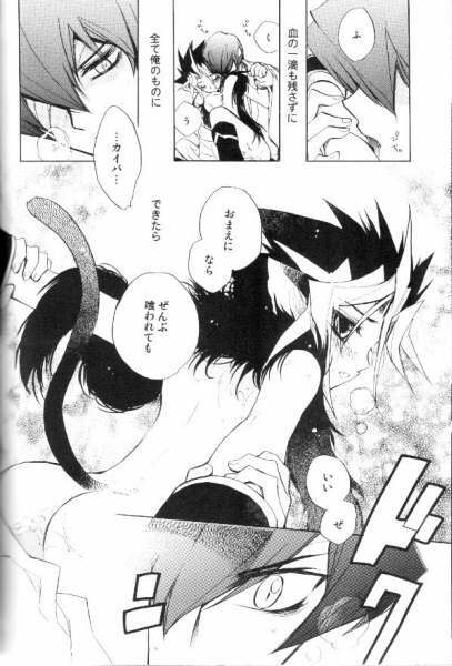 (CCTokyo106) [Rapan (Himuro Shizuku)] Shirohebisan to Kuronekokun 2 | White Snake & Black Cat 2 - Seasons of Change. (Yu-Gi-Oh!) page 28 full