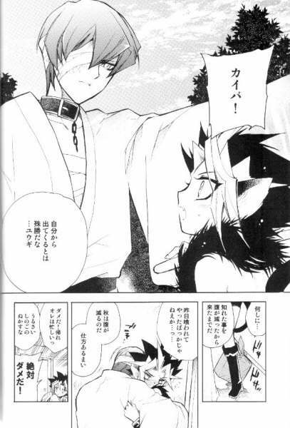 (CCTokyo106) [Rapan (Himuro Shizuku)] Shirohebisan to Kuronekokun 2 | White Snake & Black Cat 2 - Seasons of Change. (Yu-Gi-Oh!) page 9 full