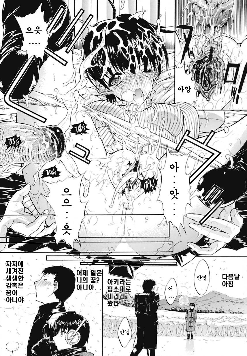 [Kino Hitoshi] Kinshinsoukan | 근친상간 [Korean] [디스마이너스] page 235 full