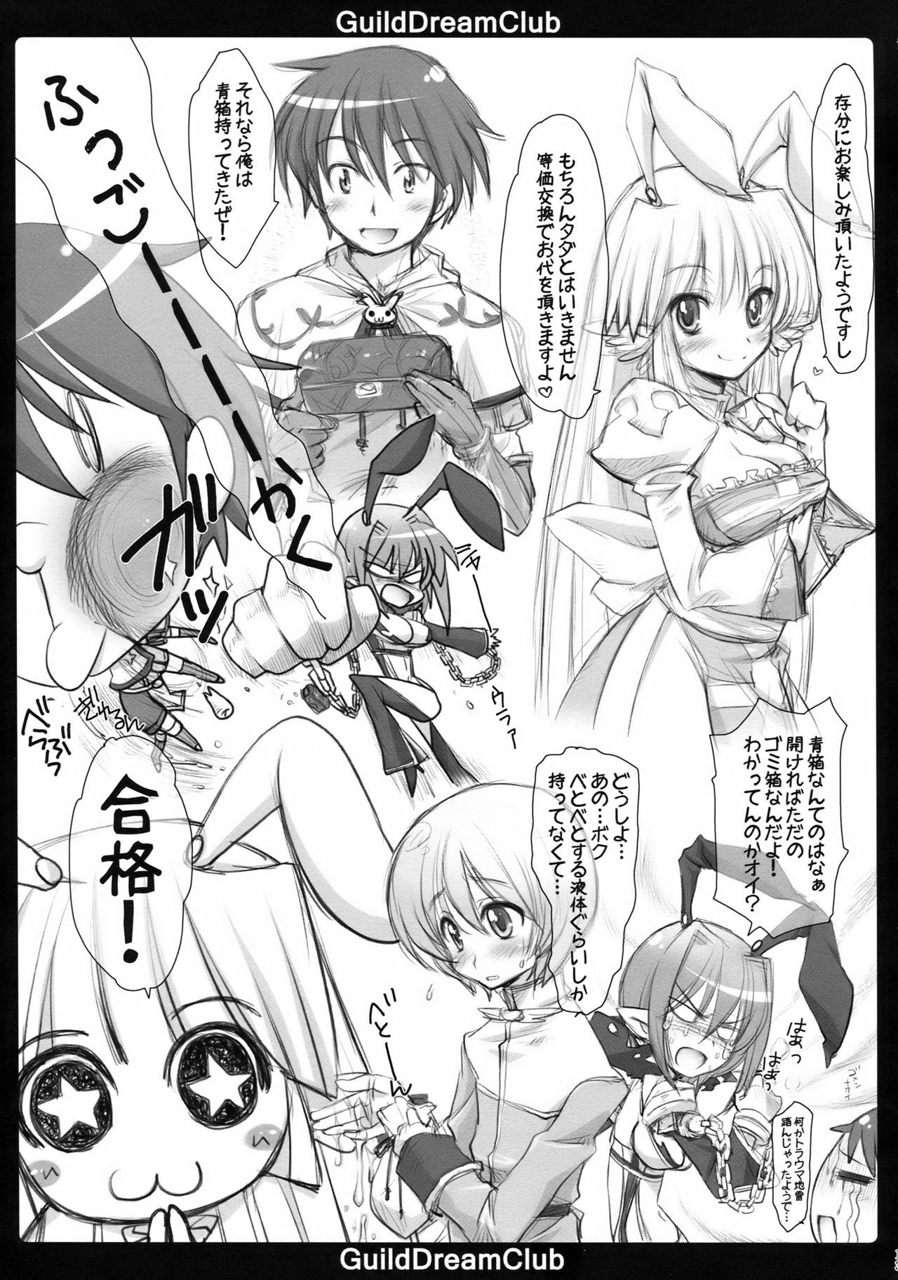 (C77) [AREYOUHAPPY? (Asai Ichiko)] GuildDreamClub (Ragnarok Online) page 13 full