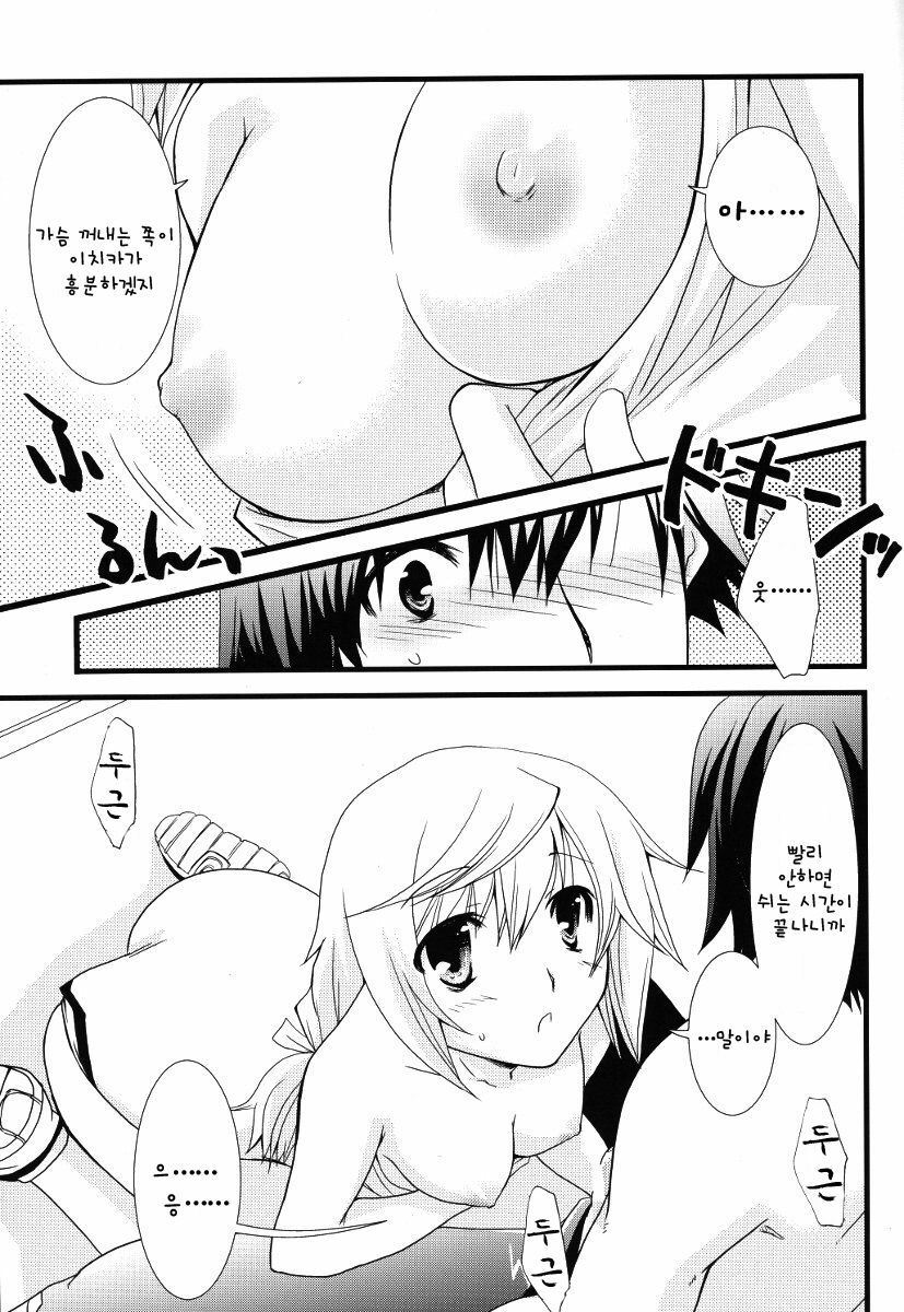 (C79) [CHAGASHI SAIBAN (Yamabuki Mook)] Kigae Chuuihou ! | Warning Changing Clothes! (Infinite Stratos) (Korean) page 15 full