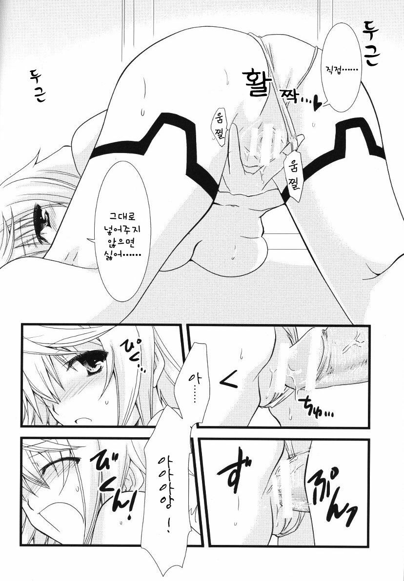 (C79) [CHAGASHI SAIBAN (Yamabuki Mook)] Kigae Chuuihou ! | Warning Changing Clothes! (Infinite Stratos) (Korean) page 24 full