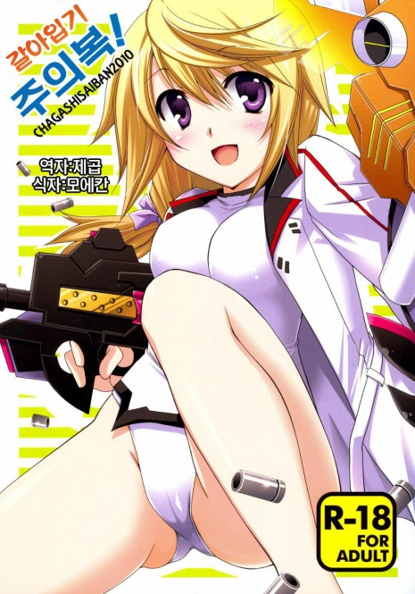 (C79) [CHAGASHI SAIBAN (Yamabuki Mook)] Kigae Chuuihou ! | Warning Changing Clothes! (Infinite Stratos) (Korean)