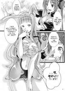 [pinvise (Suzutsuki Kurara)] Pururun Cast Off (Queen's Blade) [Korean] [Project H] - page 4