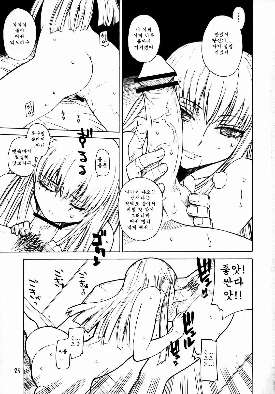 [Kouchaya (Ootsuka Kotora)] HIDE&SEEK (Code Geass) [Korean] page 24 full