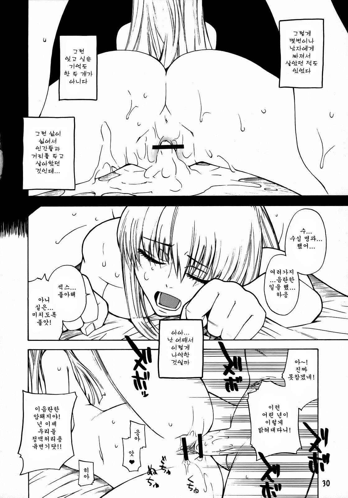 [Kouchaya (Ootsuka Kotora)] HIDE&SEEK (Code Geass) [Korean] page 29 full