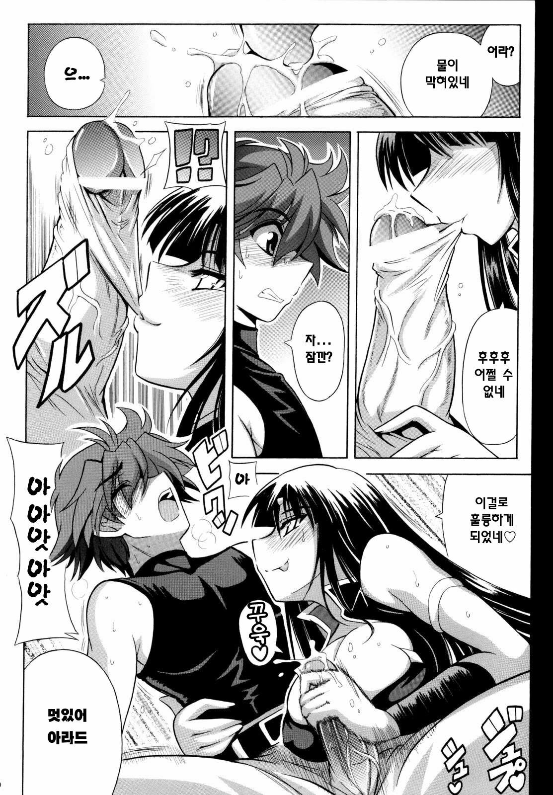 (C73) [Leaz Koubou (Oujano Kaze)] Ouka Gensou | 앵희흰상 (Super Robot Wars) [Korean] [팀☆면갤] page 11 full