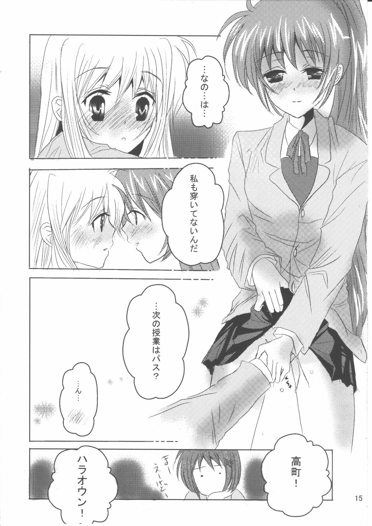 (C78) [SEA STAR (Hina Sasaki)] SPOONFUL2.5 (Mahou Shoujo Lyrical Nanoha) page 14 full