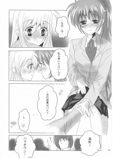 (C78) [SEA STAR (Hina Sasaki)] SPOONFUL2.5 (Mahou Shoujo Lyrical Nanoha) - page 14