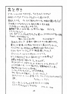 (C79) [King Revolver (Kikuta Kouji)] Dopyutto Atsumare Hana no Power (HeartCatch Precure!) - page 28