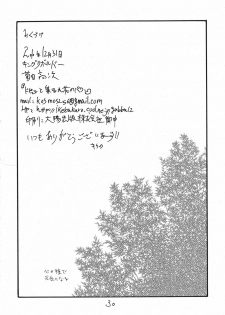 (C79) [King Revolver (Kikuta Kouji)] Dopyutto Atsumare Hana no Power (HeartCatch Precure!) - page 29
