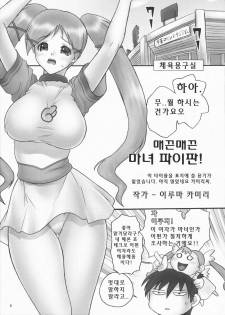 (C72) [Hellabunna (Iruma Kamiri)] Dokidoki Majokko Saibansho (Doki Doki Majo Shinpan!) [Korean] - page 4