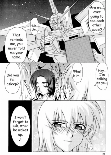 (C65) [GOLD RUSH (Suzuki Address)] Emotion (Ki) | Emotion (Like) (Gundam SEED) [English] [HMedia] - page 24