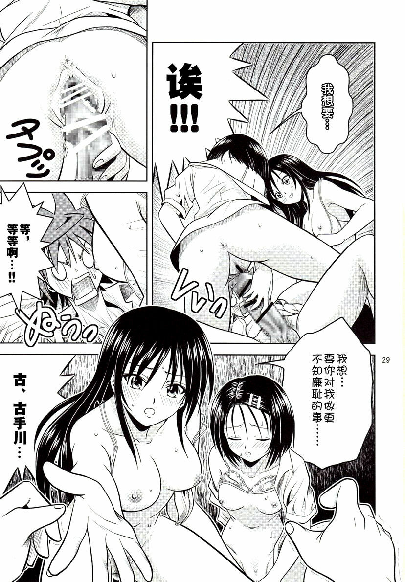 [Gangontou (Fukori)] Anoko-tachi ga Taihen na Koto ni Nattemasu (To LOVE-Ru) [Chinese] [SENSE汉化小队] page 29 full