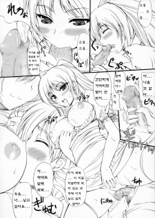 (COMIC1) [Primal Gym (Kawase Seiki)] Sister's Impact 2nd (ToHeart2) [Korean] [Project H] - page 16