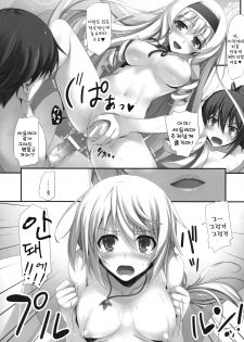 (COMIC1☆5) [Mugenkidou A (Tomose Shunsaku)] INFINITY's (IS ) [Korean] - page 15