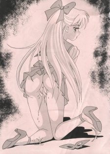 [Daguu Hiranuma] C. Moon (Sailor Moon) - page 23