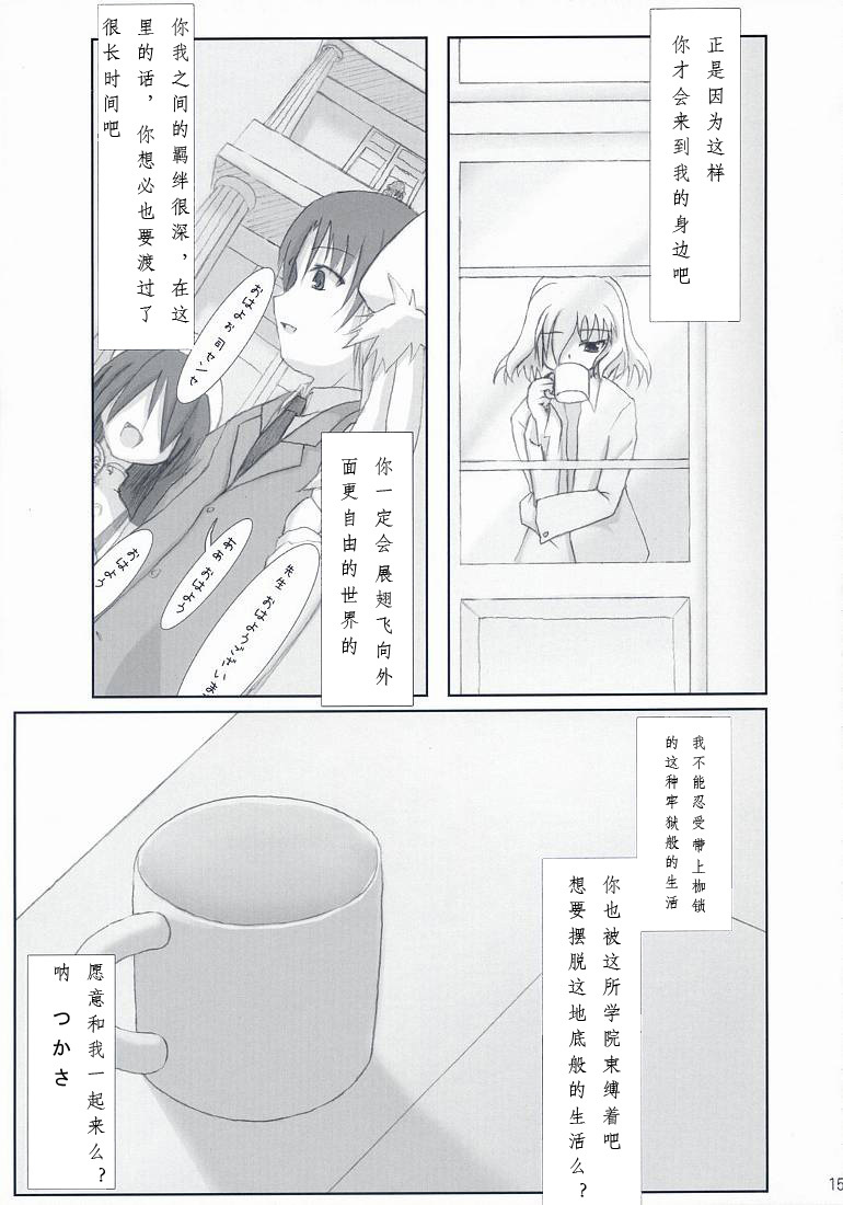 (SC36) [SSB (Maririn, Tsurusaki Takahiro)] Tsuuhan-san Seikatsu 2007 Haru (Haruka ni Aogi, Uruwashi no) [Chinese] [微笑&miku萌汉化] page 15 full