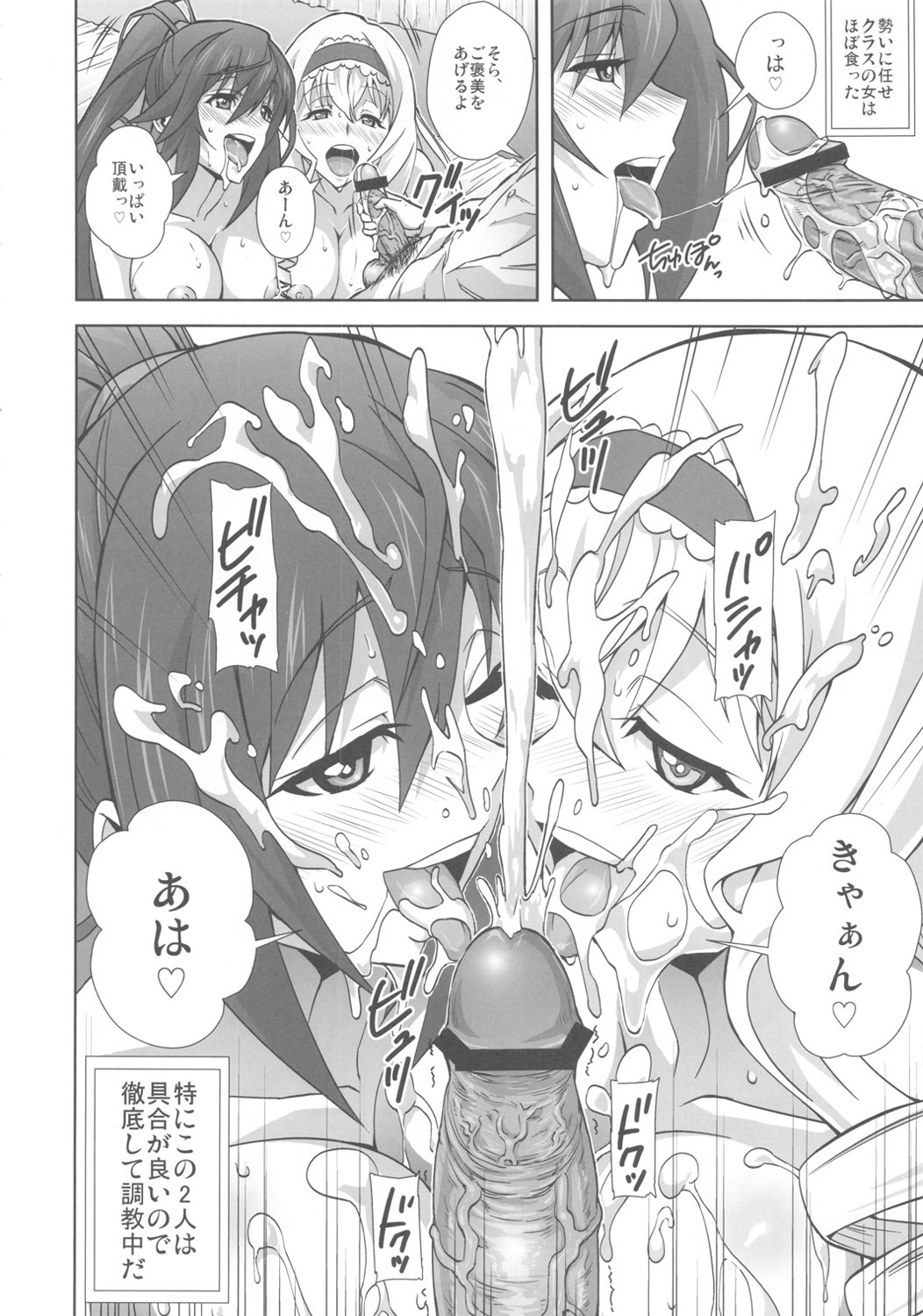 (COMIC1☆5) [Kamoro-Sa-Z (Migiyori, Oobanburumai)] Infinite DoStratos (IS ) page 5 full