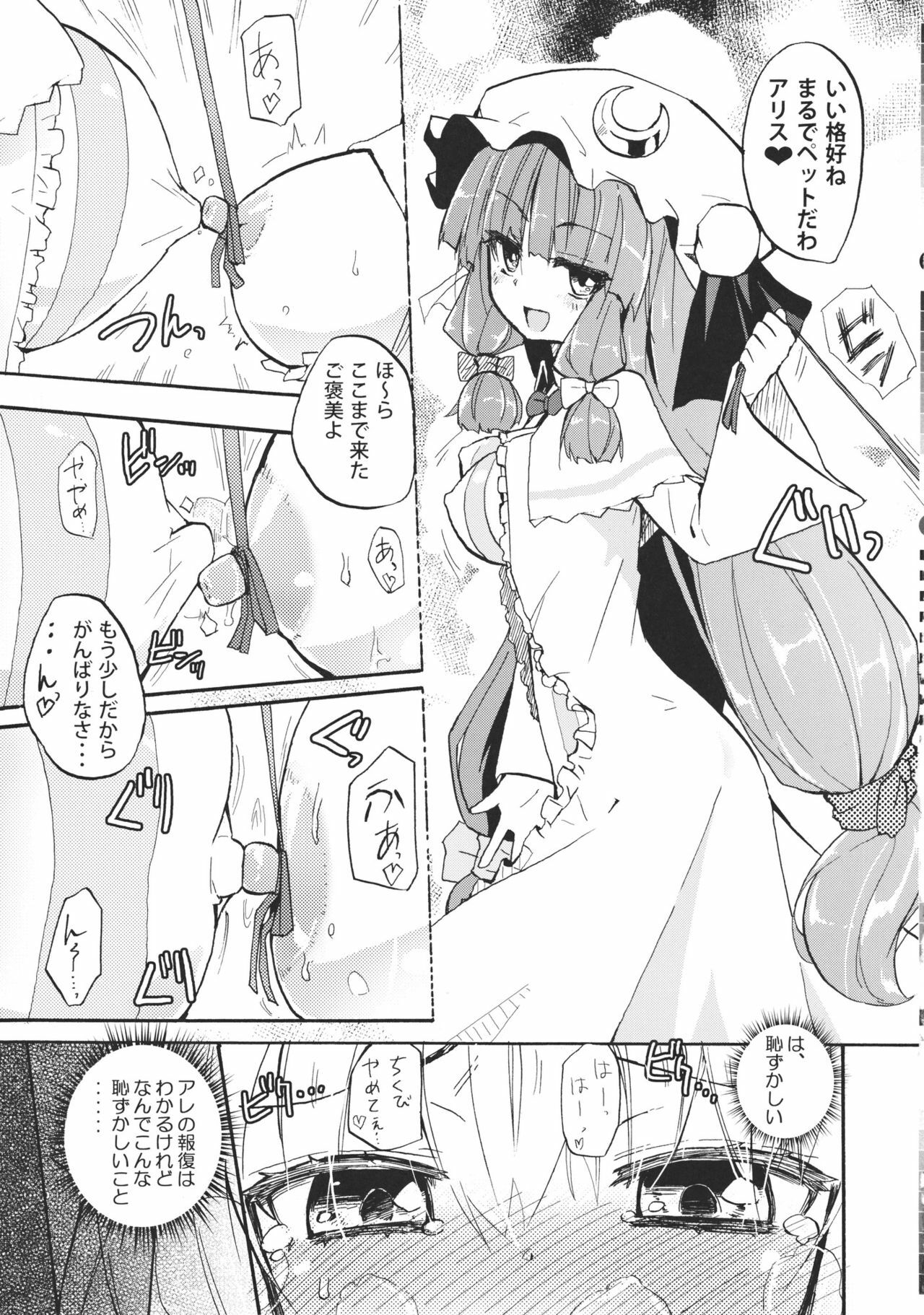 (Reitaisai 8) [Homuraya (Homura Subaru)] AliPatchun! MILK (Touhou Project) page 5 full