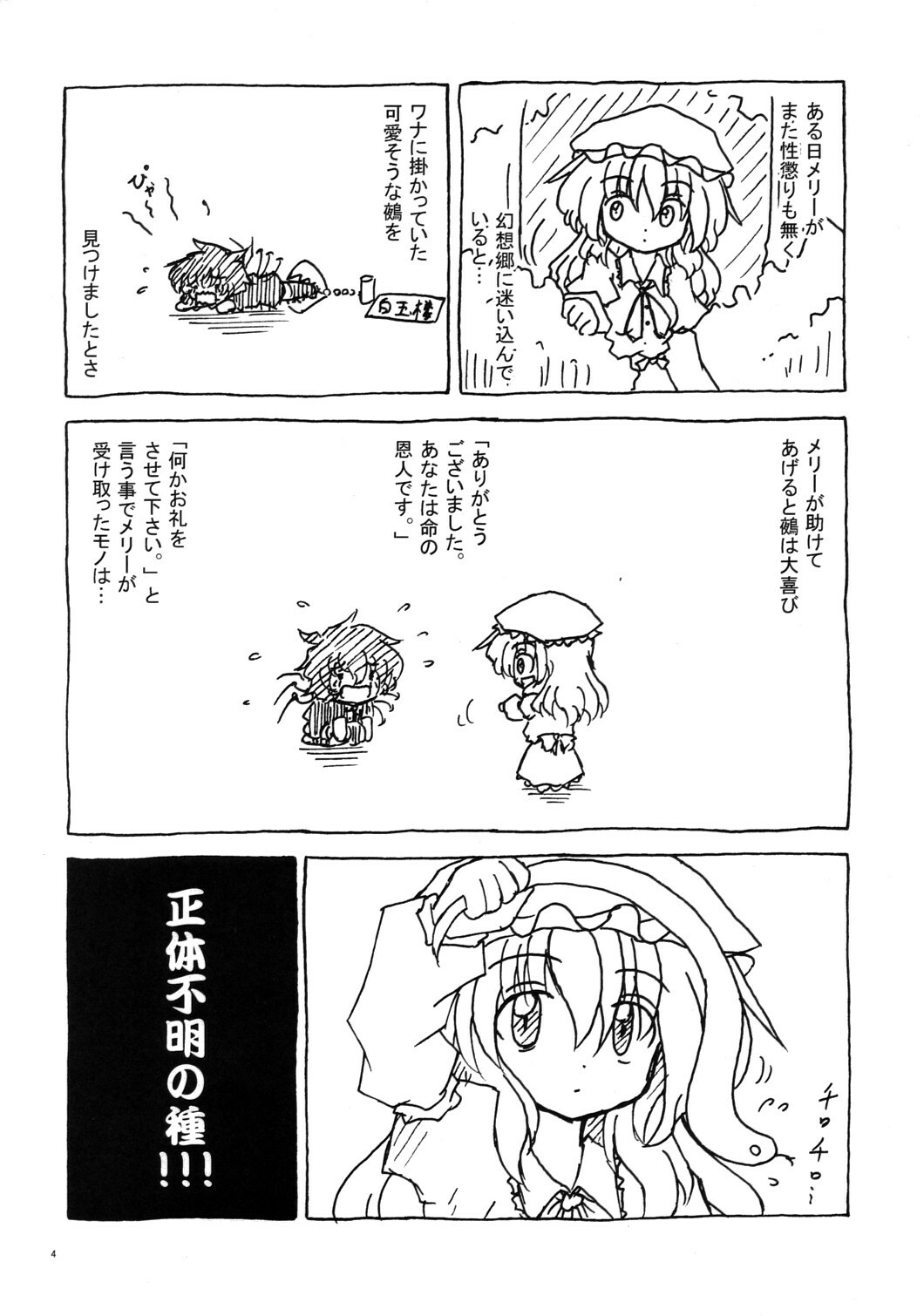 (SC49) [Nanashino Juujiseidan (Nanashino Souta)] Hibu ni Fuu suru Kiken na Asobi (Touhou Project) page 3 full