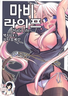 (C68) [Forbidden-Lips (Ryo)] Mabi Life (Mabinogi) [Korean]