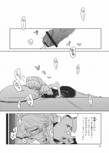 (Reitaisai 8) [Nantoka Ikitemasu. (Megumiya)] Kanzen de Shousha na Juusha wa D.T. nanoka？ (Touhou Project) - page 23