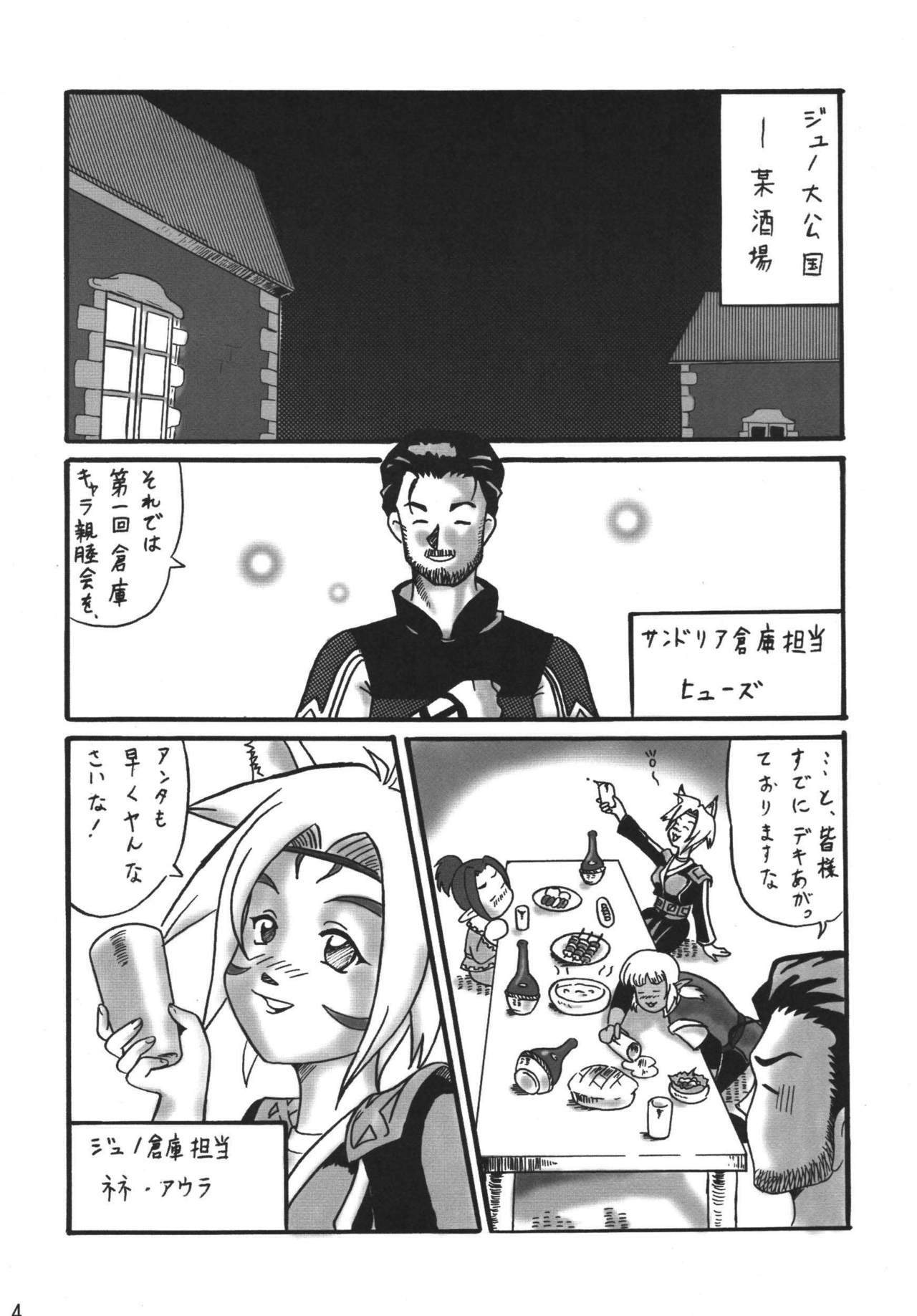 [Sanzoku no Uta (Motsu)] Side Story wa Totsuzen ni (Final Fantasy XI) page 4 full