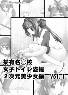 (C75) [Juicy Fruits (Satomi Hidefumi)] Bou Yuumei Koukou Joshi Toilet Tousatsu 2-jigen Bishoujo Hen Vol. 1 (Kanon) - page 2