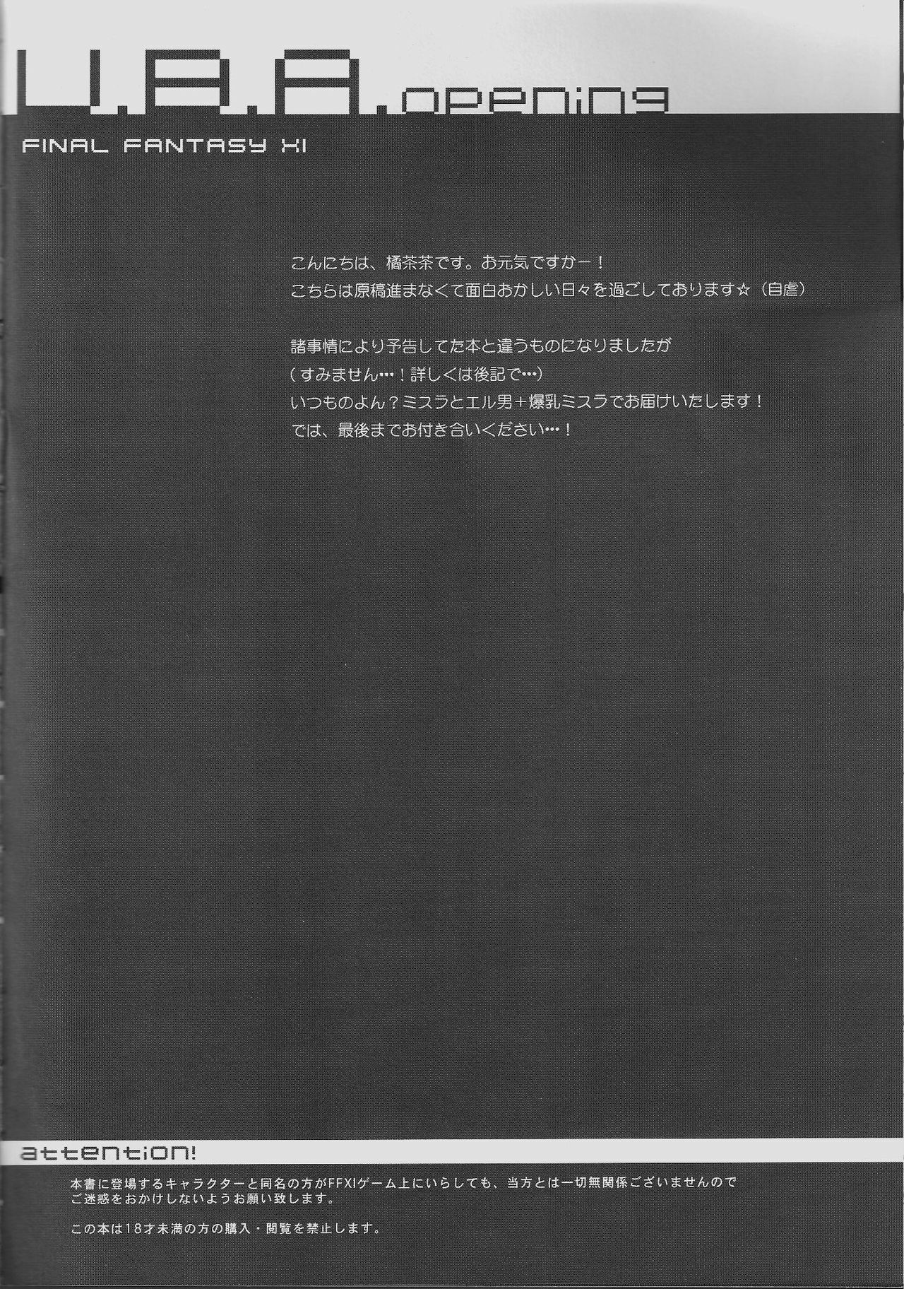 (C71) [Akai Tsubasa (Tachibana Chata)] V.B.A. (Final Fantasy XI) page 3 full