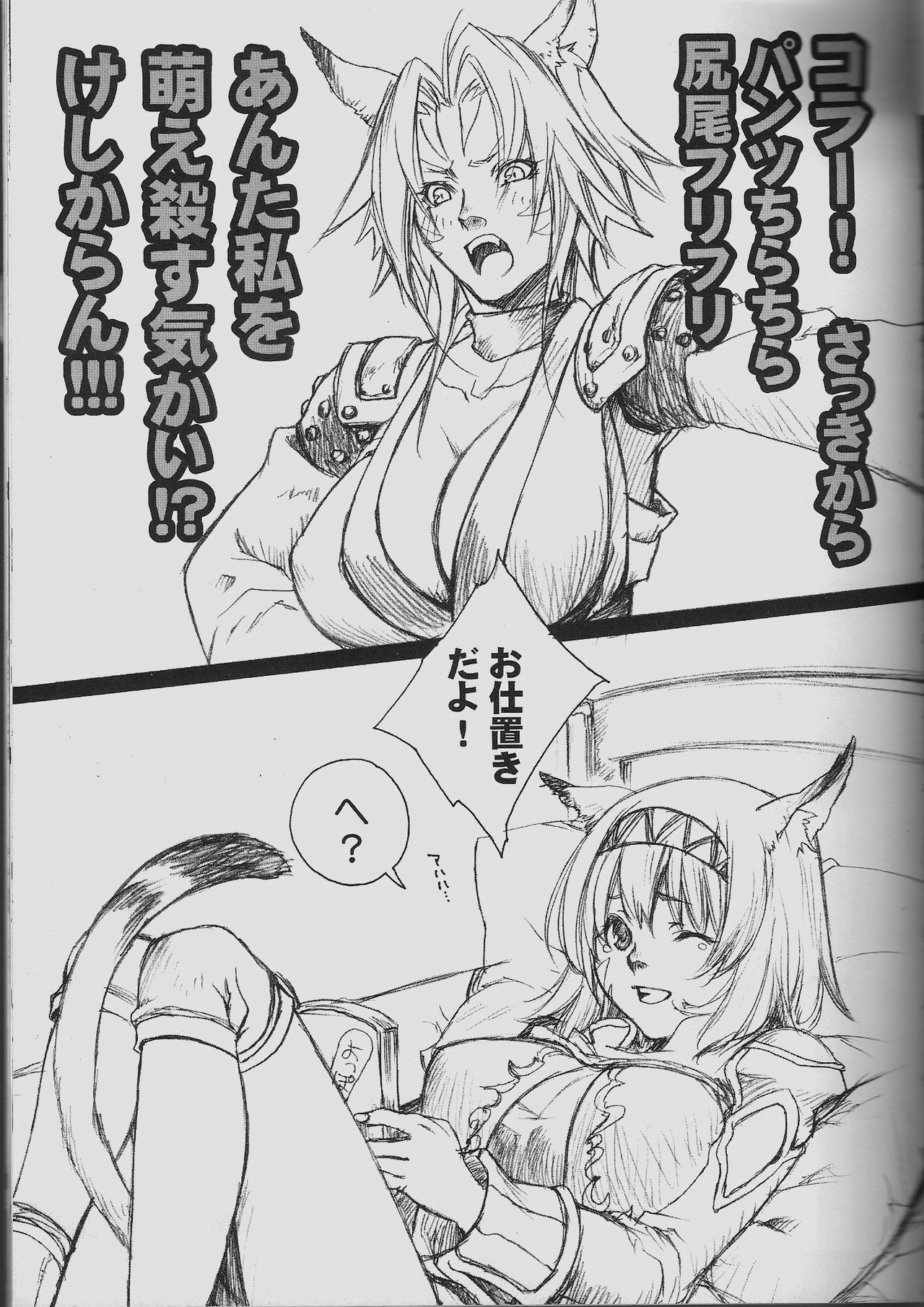 (C71) [Akai Tsubasa (Tachibana Chata)] V.B.A. (Final Fantasy XI) page 4 full