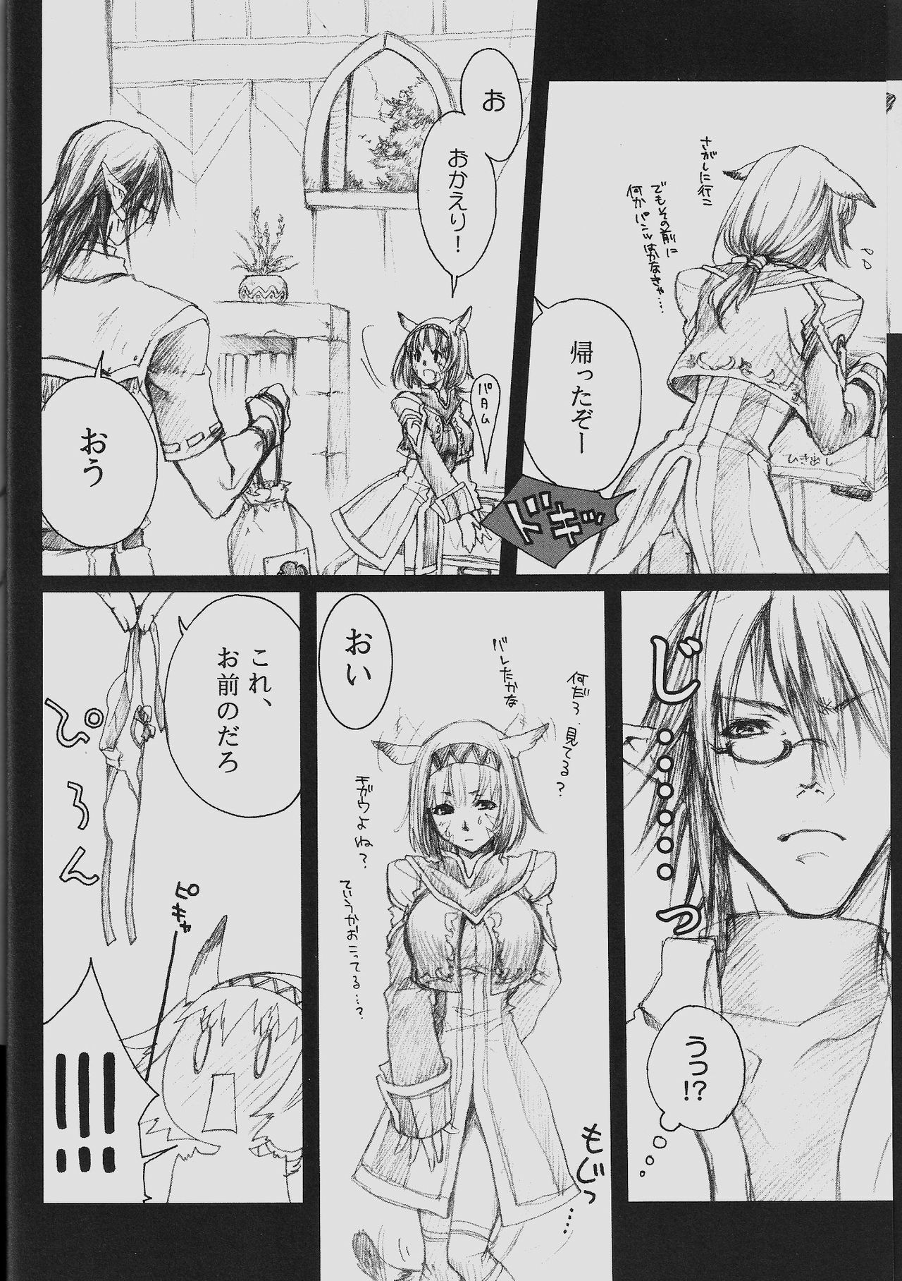 (C71) [Akai Tsubasa (Tachibana Chata)] V.B.A. (Final Fantasy XI) page 9 full