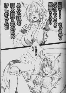 (C71) [Akai Tsubasa (Tachibana Chata)] V.B.A. (Final Fantasy XI) - page 4