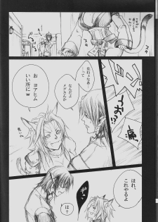 (C71) [Akai Tsubasa (Tachibana Chata)] V.B.A. (Final Fantasy XI) - page 7