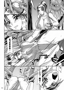 (C74) [Anglachel (Yamamura Natsuru)] Tamashii no Kyouen (SoulCalibur, Street Fighter, King of Fighters) - page 14