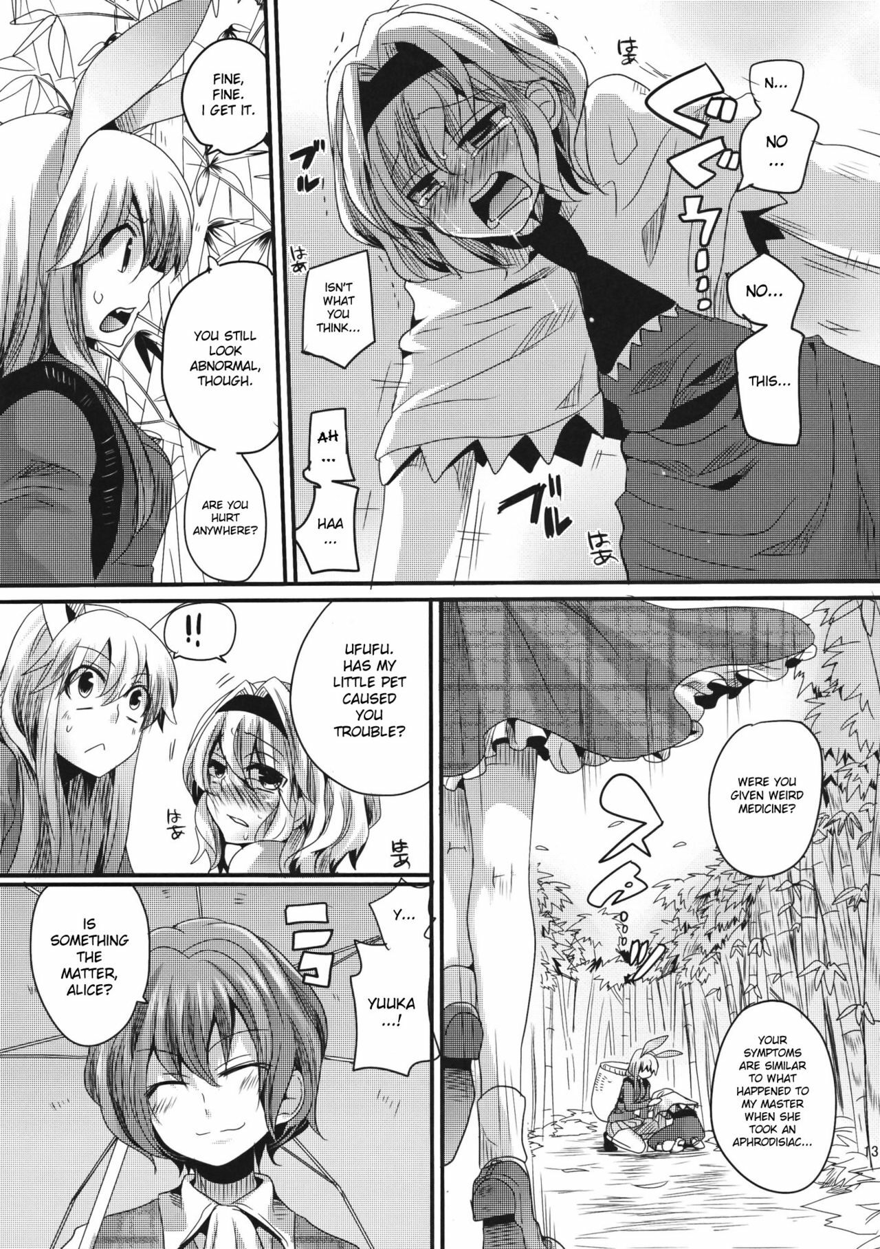 (Reitaisai 8) [DOUMOU] Yuuka ga do S de Alice ga M de | Yuuka is a Sadist, While Alice is a Masochist (Touhou Project) [English] {doujin-moe.us} page 12 full