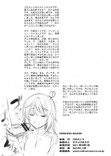 (COMIC1☆5) [Goromenz (Yasui Riosuke)] PRINCESS MAKER (IS ) [Chinese] [vivajei] - page 21