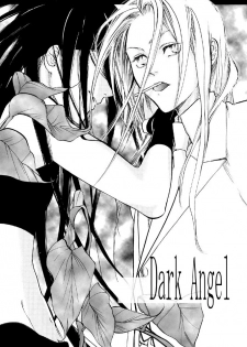 [Azteca-King, S-TOWER (Shiou Naoto, Takatoh Sachi)] Dark Angel (Fullmetal Alchemist) [Spanish] [Bizarre] - page 3